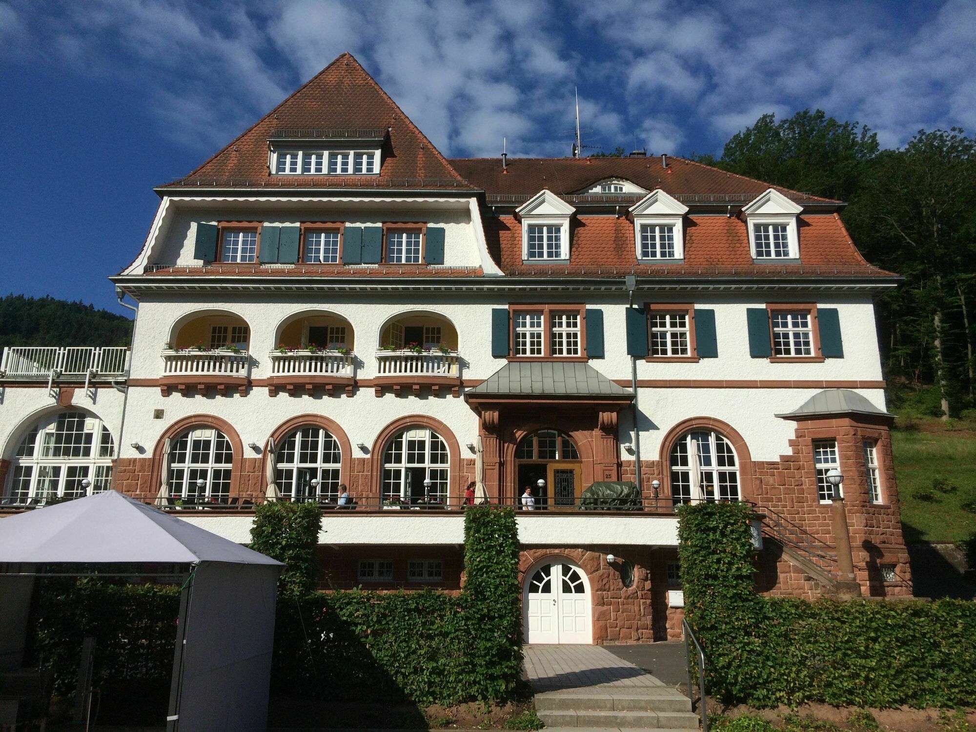 Jugendstilhotel Trifels Аннвайлер-ам-Трифельс Экстерьер фото